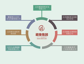 藏象集團 引領(lǐng)網(wǎng)絡(luò)技術(shù)服務(wù)新紀(jì)元，賦能企業(yè)數(shù)字化轉(zhuǎn)型